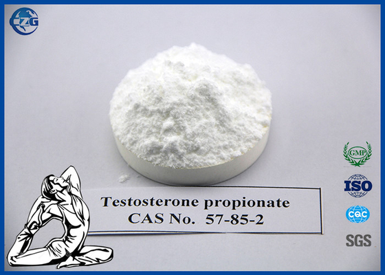 Çin 57 85 2 Testosteron Hormonu, Test Undecanoate Vücut Geliştirme Saf Tozu Tedarikçi