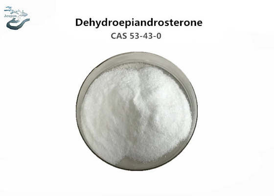 Pure Raw Steroid Powder Dehydroepiandrosterone CAS 53-43-0 DHEA For Muscle Building