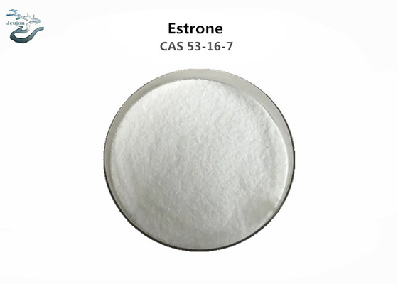 White Raw Intermediates Steroid Powder Estrone CAS 53-16-7