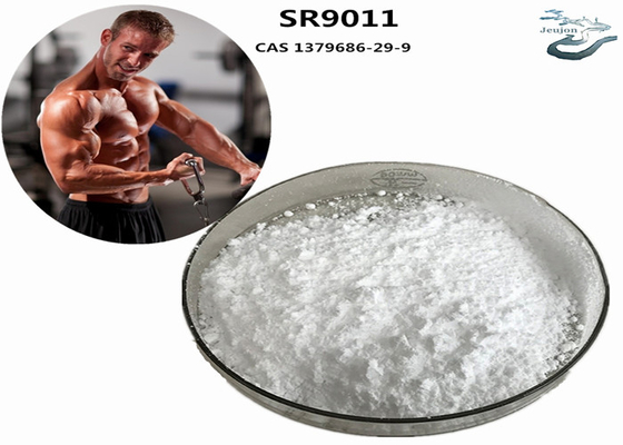 SR9011 Sarms Yağ Yakma Spor Salonu Tozu CAS 1379686-29-9 Vücut geliştirme takviyesi